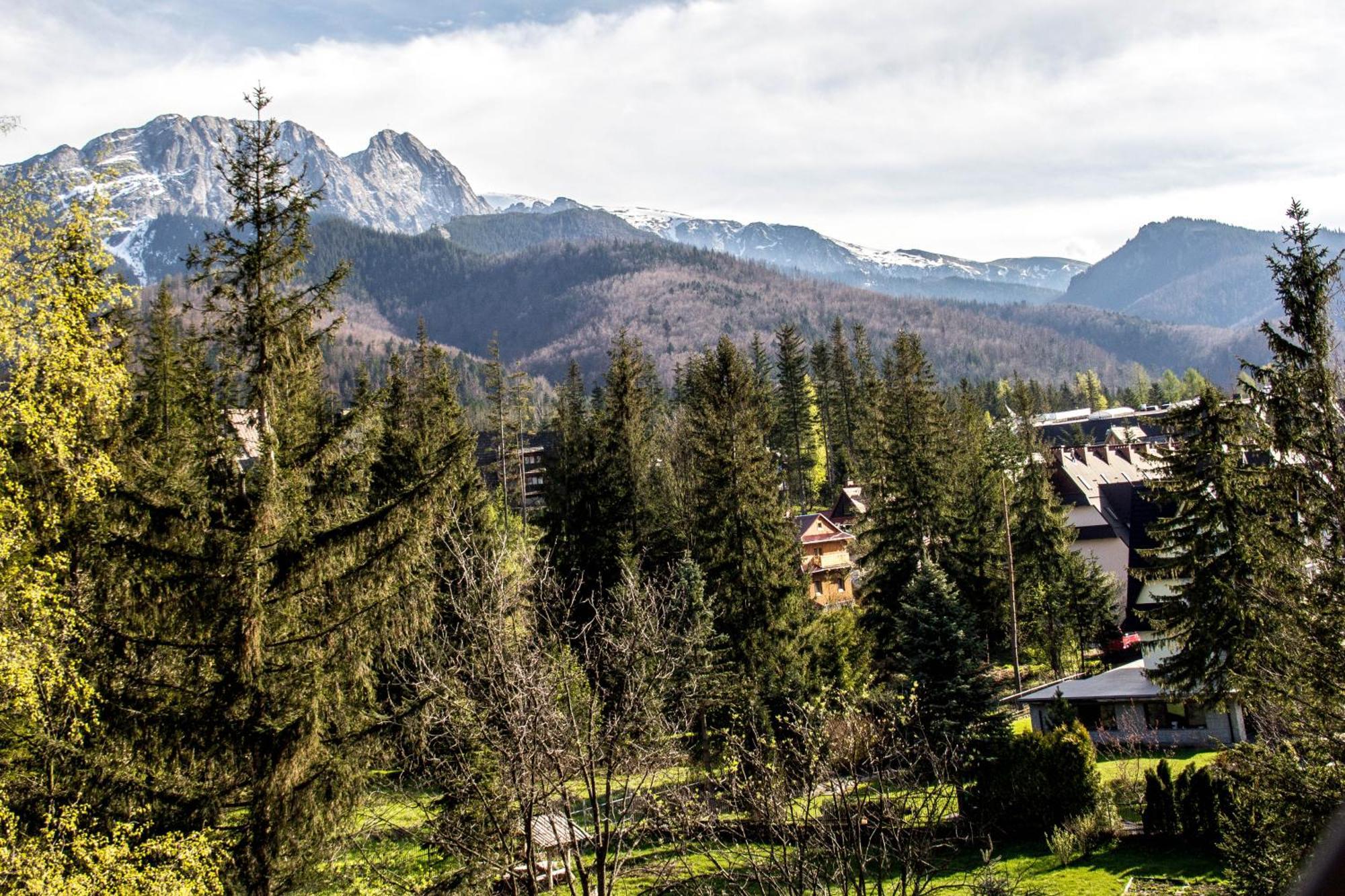 Apartamenty Chata Pod Reglami Zakopane Oda fotoğraf
